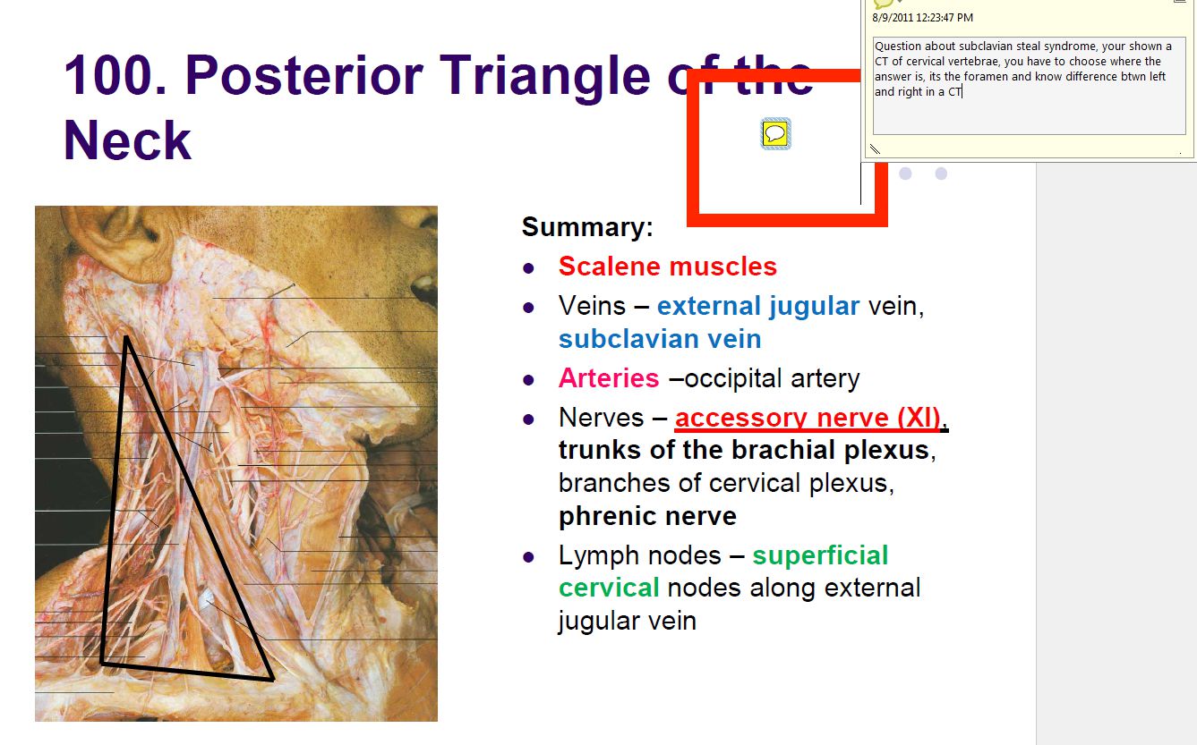 How To Learn Anatomy In Medical School With Anki Zach