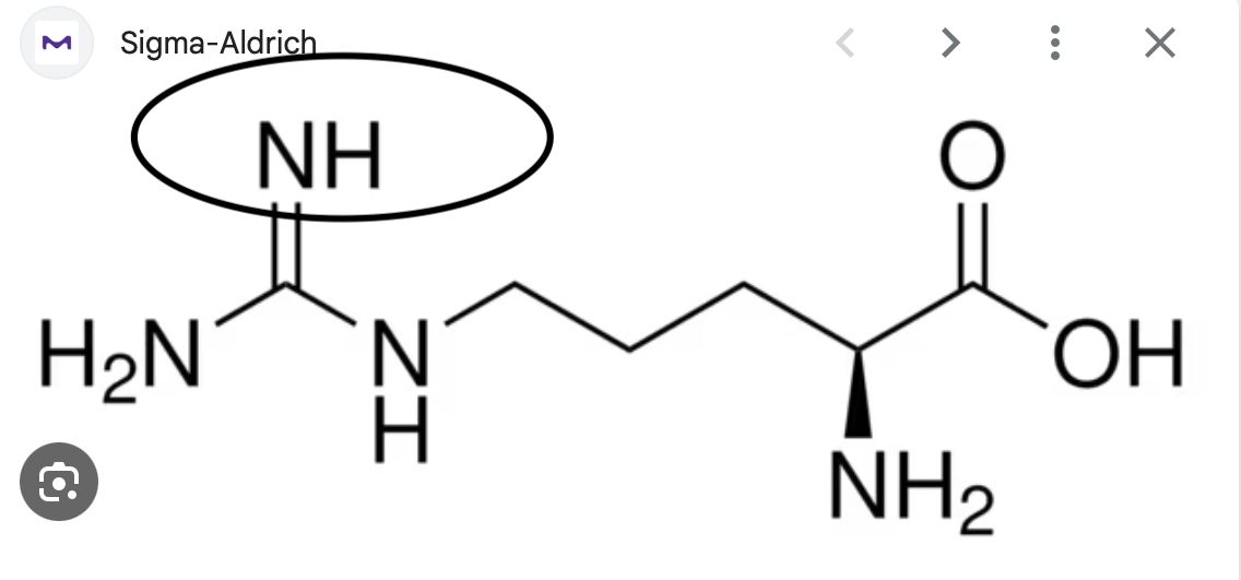 Front arginineArgRPolar, Basic (also characterized as Hydrophilic ...