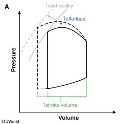 Back This graph shows an increase in contractility that leads to ...