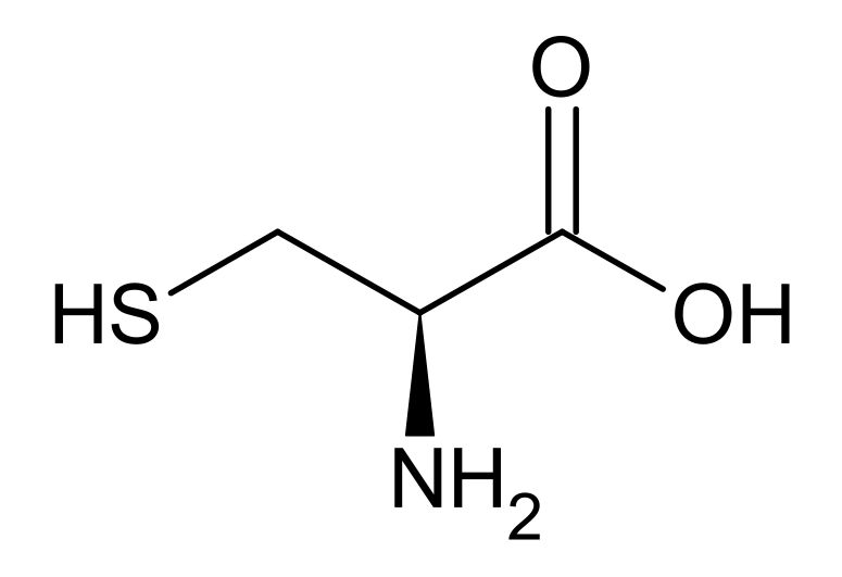 Struktur