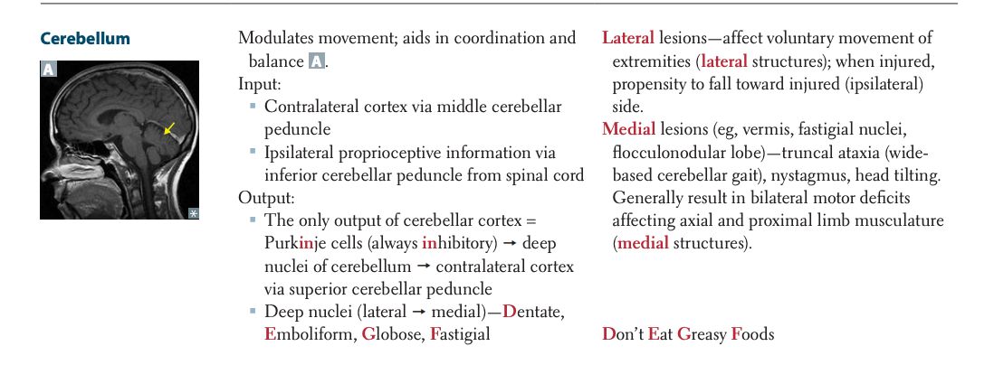 first-aid-2020-page-number-pg-499