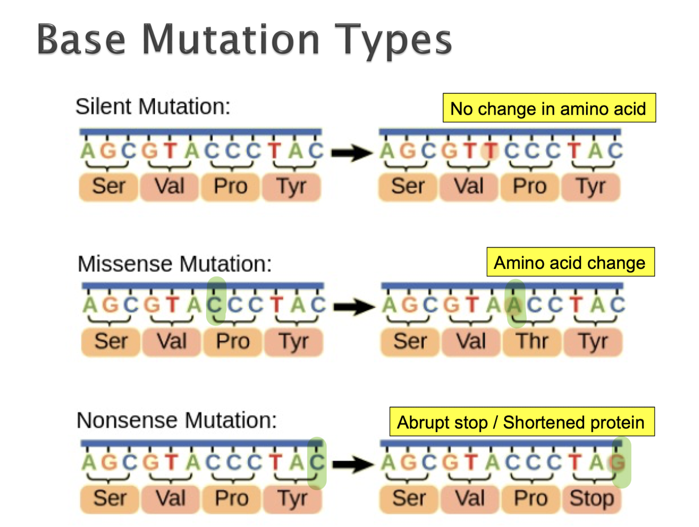 Mutation Full Note Image