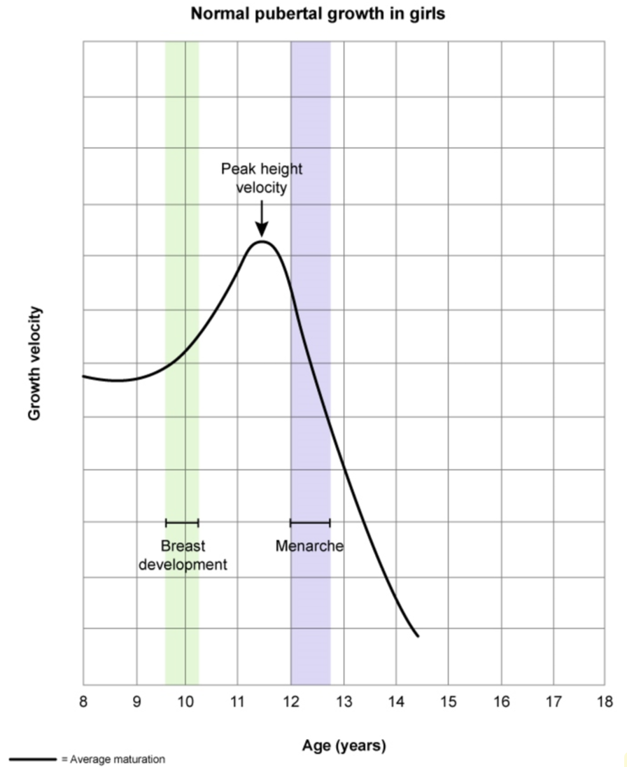 Extra remembered with the mnemonic "boobs, pubes, grow, flow"