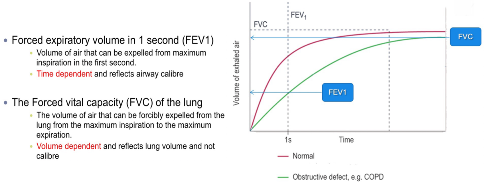 Front 4.19 - How do you test for chronic obstructive pulmonary disease ...