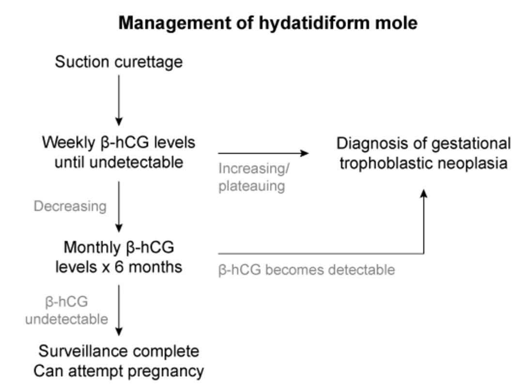 Tags OBgyn pregnancy