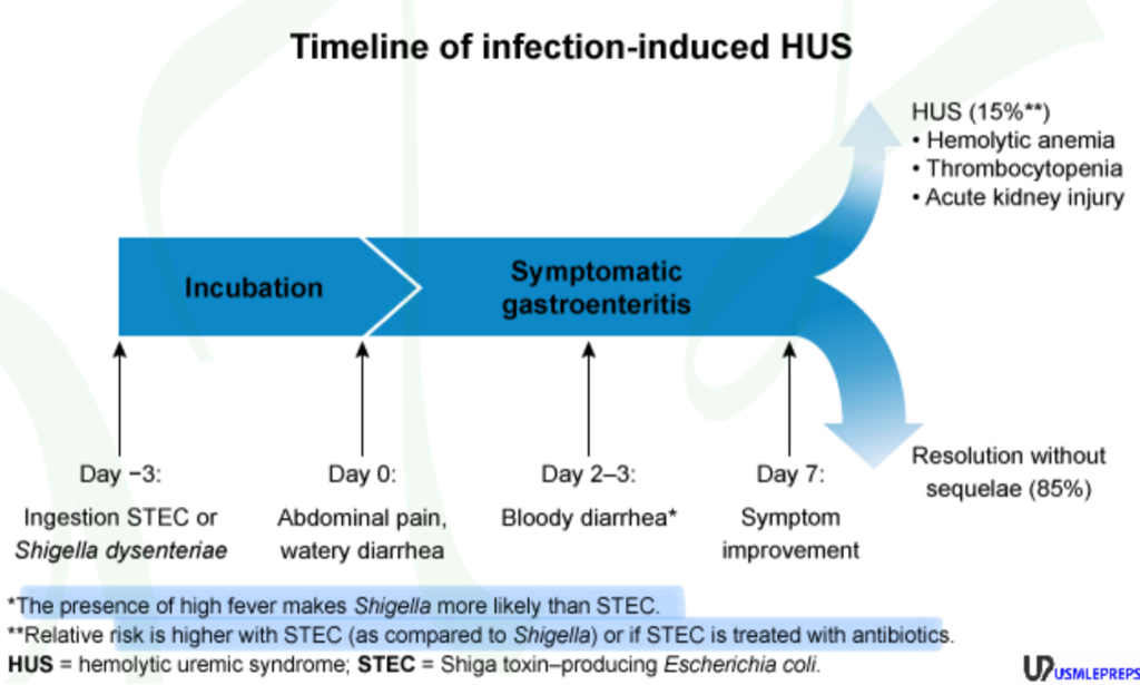 Hus Peds Algorithm Lecture Notes