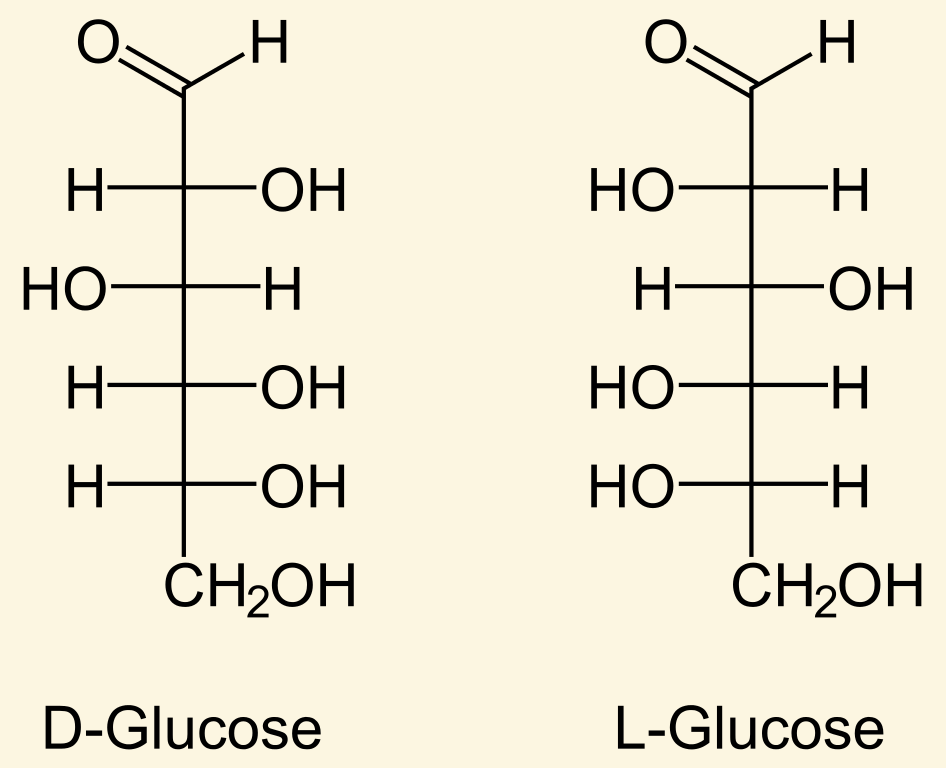 extra-in-a-fischer-projection-look-at-the-highest-numbered-chiral