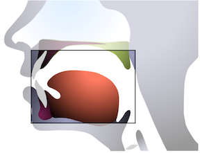 IPA Symbol (Image)