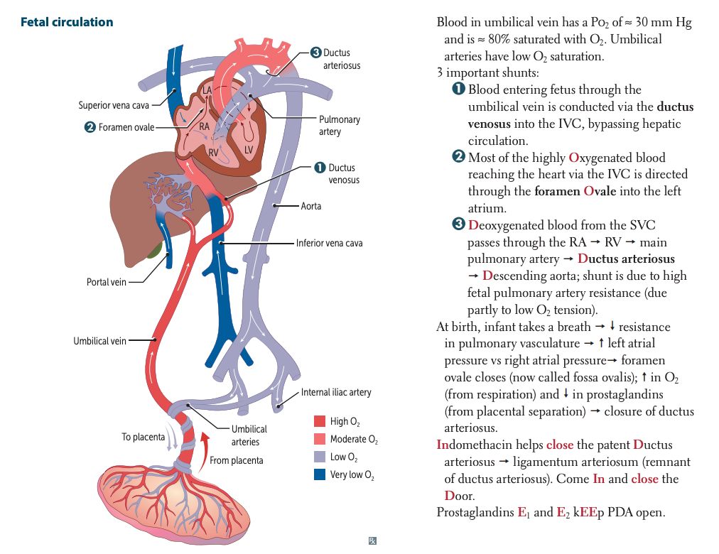 First Aid 2020 Page Number pg.282
