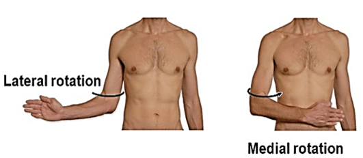 Front Rotation Tags Movement_term Term
