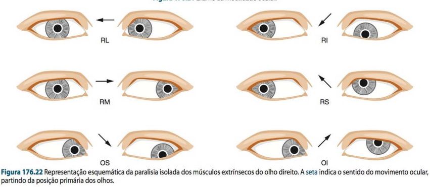 Imagem imagem